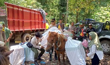 Distribusi-Logistik-Pemilu-di-Daerah-Terpencil-Pakai-Kuda,-Polres-Jember-Lakukan-Pengawalan-Jalan-Kaki