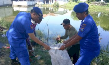 Peduli-Lingkungan-Polresta-Sidoarjo-Bersama-Warga-Bersihkan-Sampah-di-Pesisir-Pantai