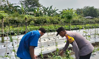 Bhabinkamtibmas-Sambibulu-Polsek-Taman-Cek-Pekarangan-Pangan-Lestari