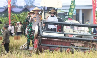 Forkopimda-Sidoarjo-Ikuti-Panen-Raya-Serentak-di-Sawah-Padi-Desa-Kemuning-Tarik