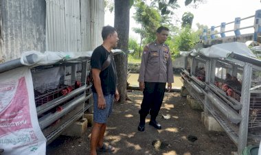 Polsek-Candi-Laksanakan-Pengecekan-Program-Ketahanan-Pangan-Ternak-Ayam-Petelur-di-Desa-Sugiwaras