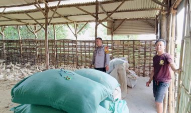 Polisi-Ingatkan-Pentingnya-Kebersihan-Kandang-dan-Pola-Pakan-dalam-Beternak-Bebek-di-Desa-Segodobancang