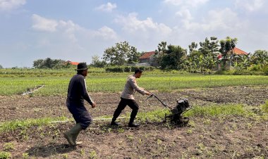 Kanit-Binmas-Dampingi-Petani-Garap-Lahan-Sawi-untuk-Ketahanan-Pangan