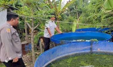 Bhabinkamtibmas-Sidodadi-Dampingi-Budidaya-Lele-untuk-Ketahanan-Pangan