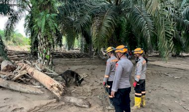 Den-K9-Ditpolsatwa-Baharkam-Polri-Berhasil-Temukan-Satu-Korban-Bencana-Alam-di-Batang-Toru,-Sumatera-Utara