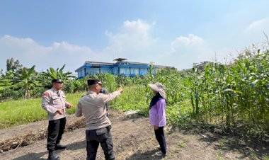 Polsek-Sedati-Intensif-Dampingi-Petani-Jagung-di-Desa-Betro,-Dukung-Program-Ketahanan-Pangan-Nasional
