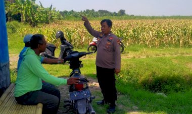 Perkuat-Swasembada-Pangan,-Polsek-Prambon-Sidoarjo-Tinjau-Kesiapan-Lahan-Jagung-di-Desa-Bulang