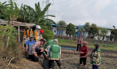 Bhabinkamtibmas-Ketegan-Kawal-Tanam-Padi-Modern,-Dukung-Ketahanan-Pangan-Nasional