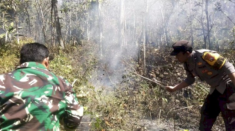 Respon Cepat Call Center 110 Polres Ngawi, Kebakaran Lahan di Bukit Gogor Sine Berhasil Dipadamkan
