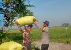 Bhabinkamtibmas-Semambung-Tinjau-Lahan-P2B-Warga